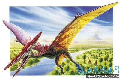 今天就要来给大家说一下恐龙中唯一可以飞行的种类——翼龙