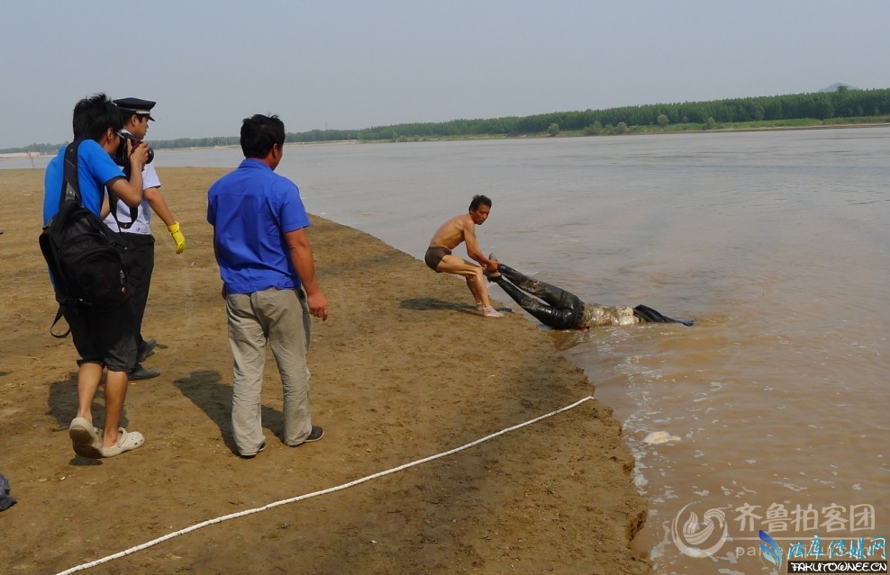 黄河为什么这么多浮尸中国失踪人口人数有多少